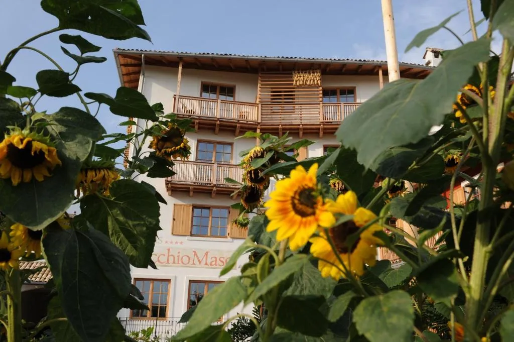 Facciata dell'hotel vista tra i girasoli in giardino