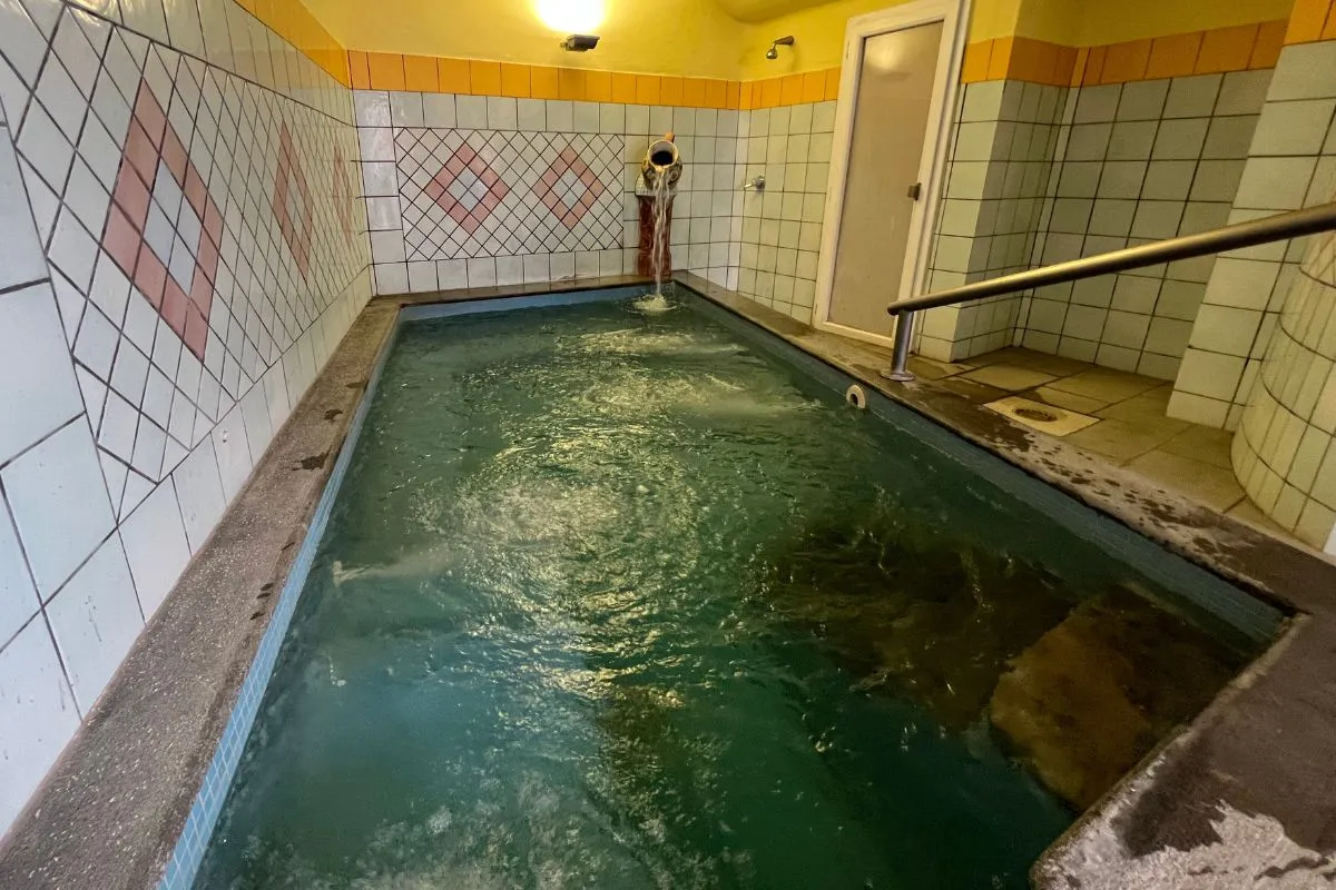 Park Hotel Carlo Magno - Piscina coperta